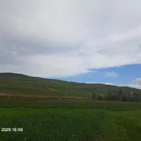 زمین زراعی ۱۰۰۰۰مترمربع فروش فوری با تخفیف ویژه *