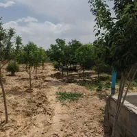 باغ زیبا دنج باحال