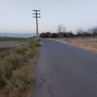 باغچه