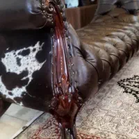 مبله تمام چرم. وتشک طبی نو