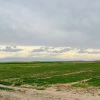 زمین۳ هکتاری ملکی با آب شاهنامه۸۰ معاوضه خودرو