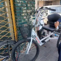 سه چرخه بزرگسال