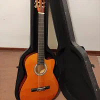 گیتار نو به همراه کاور