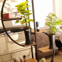 فروش دکور طبقه ای فلزی جا گلدونی در بابل