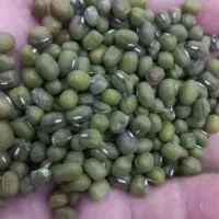 ماش
