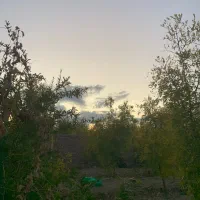 باغ هزار متری دارای خانه ‌‌کلاته ملک