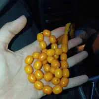 سندلوس شرط المانی