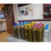 خیارشور طبیعی