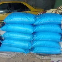 کودریز سفید|خدمات باغبانی و درختکاری|گرگان, |دیوار