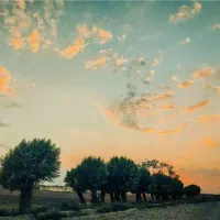 زمین-های-متراژ-مختلف-ارزان-و-مناسب-سرمایه-گذاری