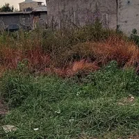 فروش زمین