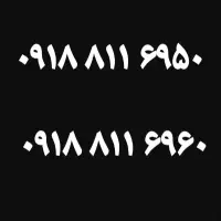 دوعدد سیم کارت ۸۱۱ رند