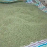 عدس کوهی ارکان