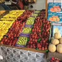 فروش میوه فروشی