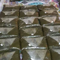 محصولات اورگانیک وخانگی