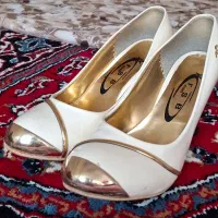 کفش مجلسی