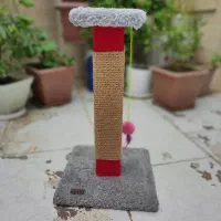 اسکرچر گربه