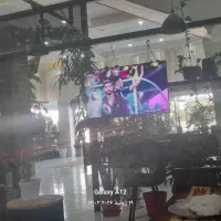دیدن بازی جام جهانی در کافه رستوران تاراز