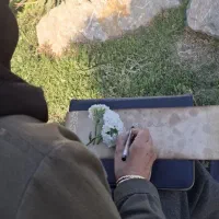 آموزش خوشنویسی، سفارش خوشنویسی