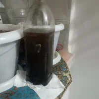 روغن گیاهی