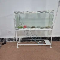 آکواریوم