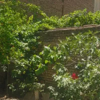 ۷۰ متر ۱خوابه رهن واجاره درحکیمیه