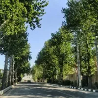 زمین-مسکونی-بر-12-5-و-خیابان-12-متری