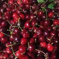گیلاس تازه خوشمزه