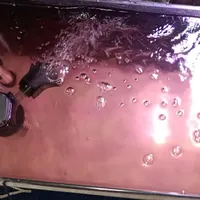 آکواریوم ماهی شیشه خم
