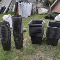 گلدان برای گلخانه.گل