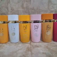 شرکتی درجه یک تخفیف خارق العاده