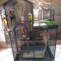 قفس کاسکو