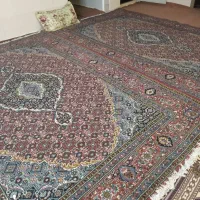 فرش|فرش|زنجان, |دیوار