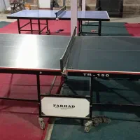 دو عدد پینگ پنگ