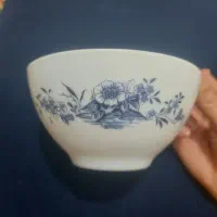 سرویس آرکوپال فرانسه