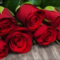 گل رز،ناخن انواع رنگ