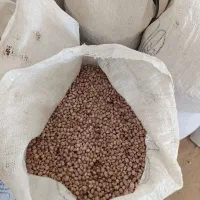 لوبیا چیتی