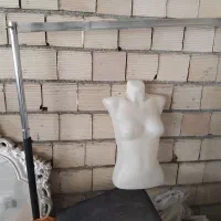 رگال و مانکن نیم تنه