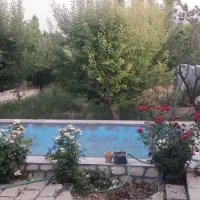 کوشک مور کوی پزشکان