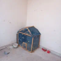 فروش پرنده