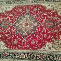 فرش 6متری درحدنو