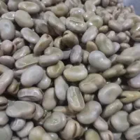 باقالی .ذرت مکزیکی.نخود فرنگی