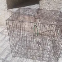 دو عدد قفس یکی کوچک ویکی بزرگ