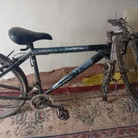 دوچرخه 26 مارک ترینکس