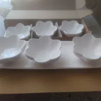 ظروف پذیرایی