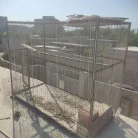 قفس بزرگ چرخ دار آهنی