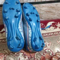 کفش در حدنو