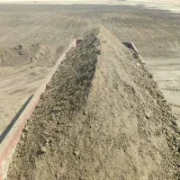 کودگاوی مرغوب