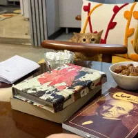 واگذاری واقعا رایگان گربه ۴ ماهه