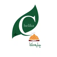 استخدام